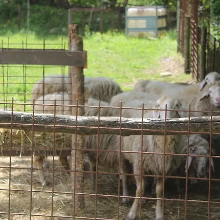 Podere Lambure- Societa Agricola Farm stay *
