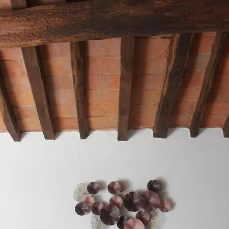 Podere Lambure- Societa Agricola Popiglio