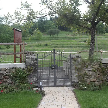 Podere Lambure- Societa Agricola Farm stay *