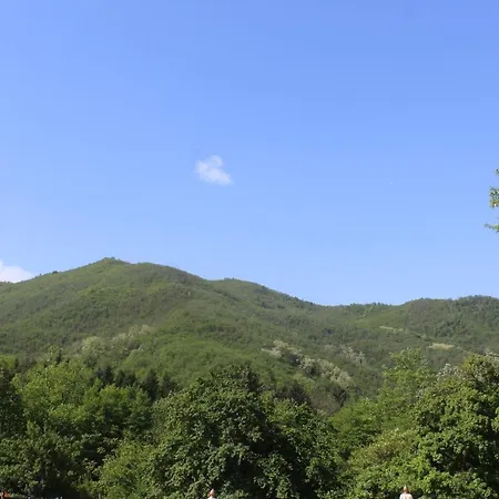 Farm stay Podere Lambure- Societa Agricola Popiglio