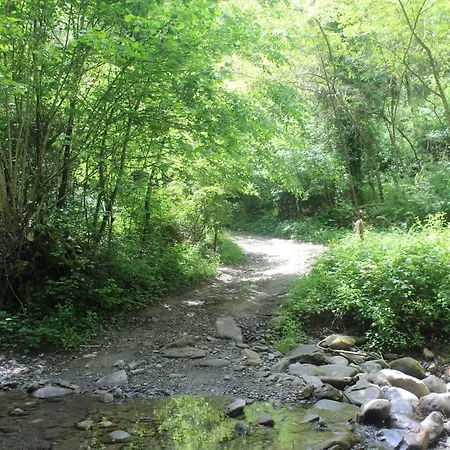 Farm stay Podere Lambure- Societa Agricola Popiglio
